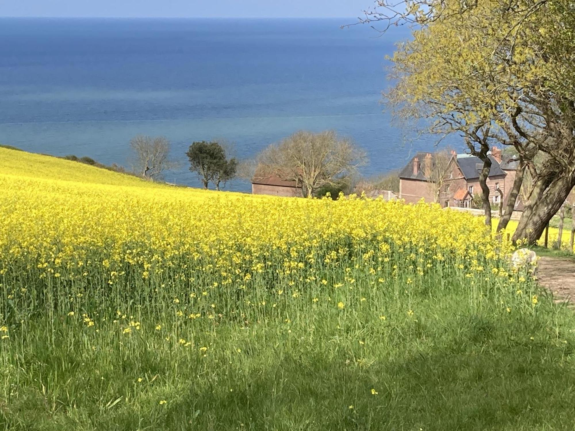 Maison De Marguerite Villa Varengeville-sur-Mer Eksteriør billede